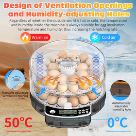 PETSFOND observation lamp lets you check egg development.