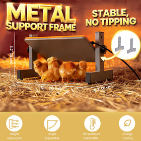 PetTemp Smart Chick Brooder Plate with digital control demonstrates precise heat levels for safe brooding