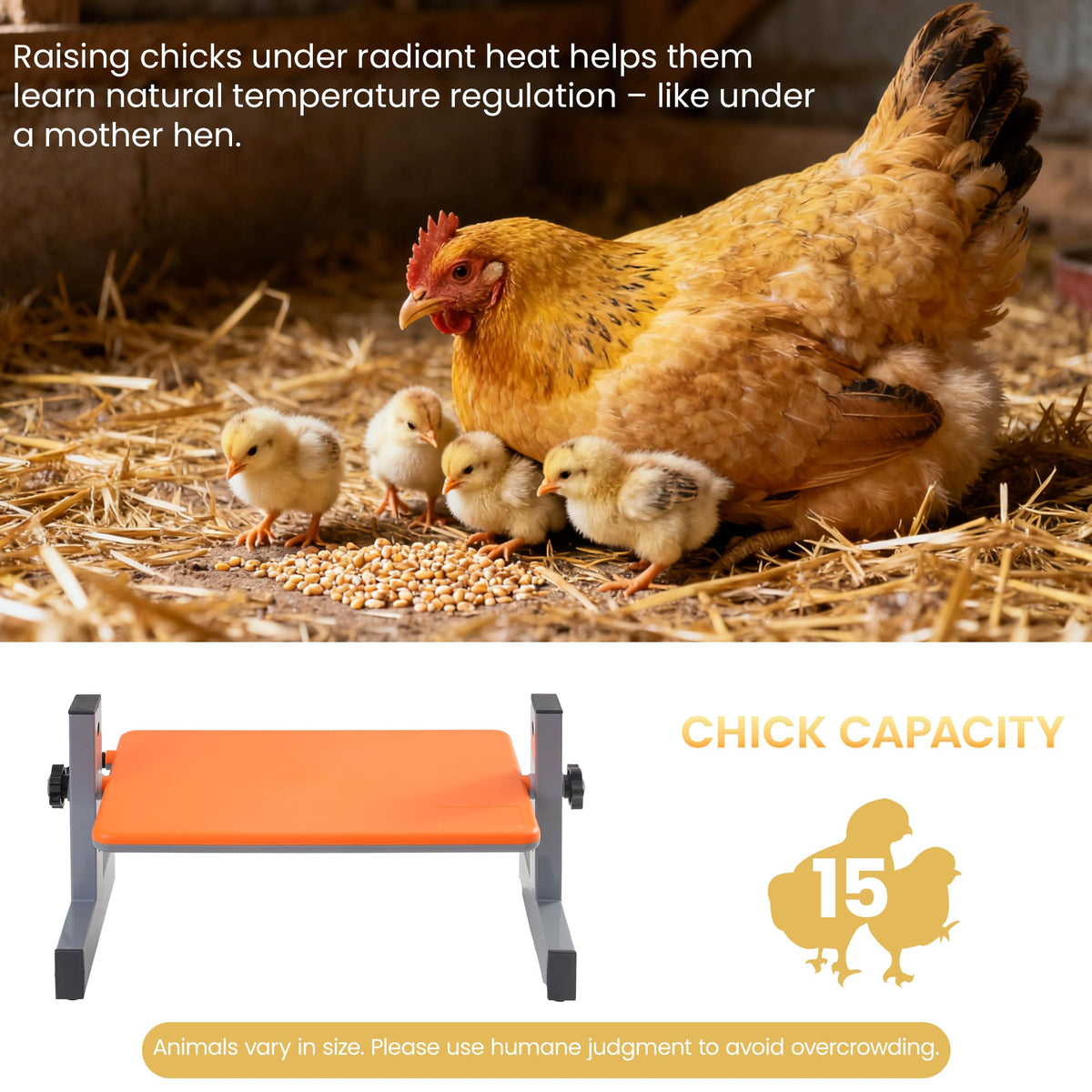 PetTemp 35W energy-saving heat plate delivers reliable warmth with lower energy usage