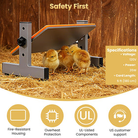 PetTemp Brooder Plate in a multi-bird setup benefits chicks, ducklings, and quail with steady warmth