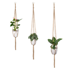 Petutu plant hanger displayed on balcony or window for bright display.
