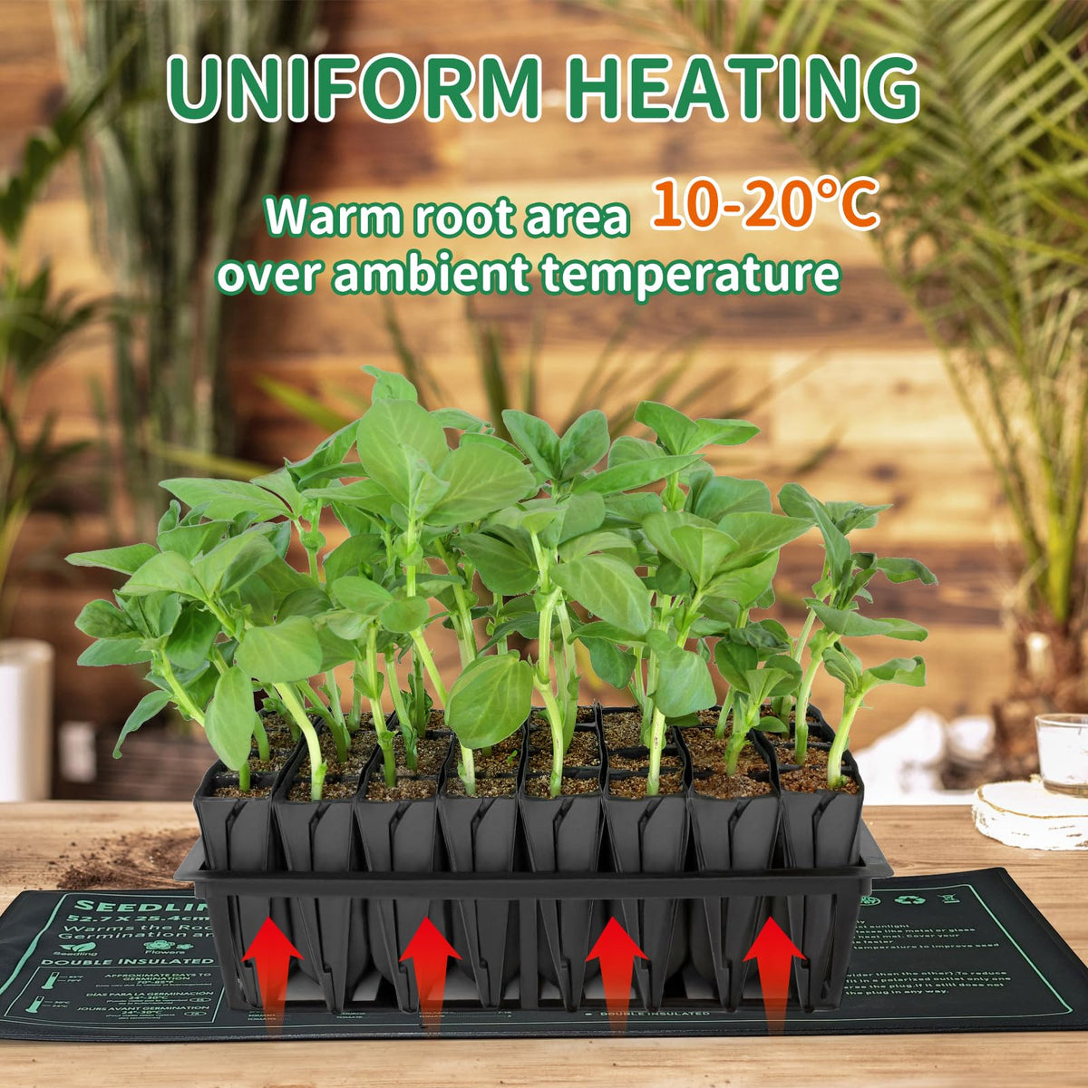 PETZOOKA indoor gardening scene with a seedling tray and mat promoting steady warmth