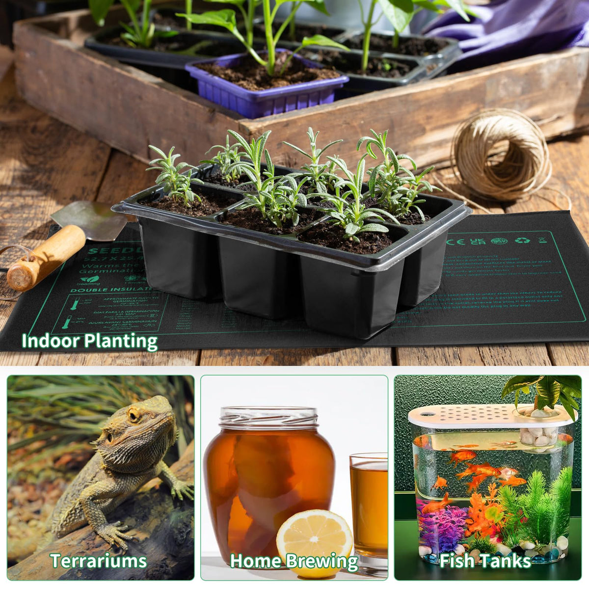 PETZOOKA six-pack display showing a ready-to-use seedling heat mat kit