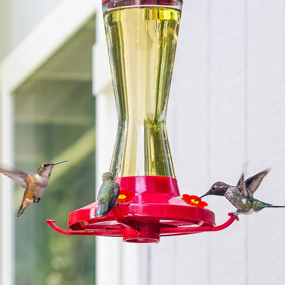 PEUTIER outdoor-ready hummingbird feeder setup in garden scene