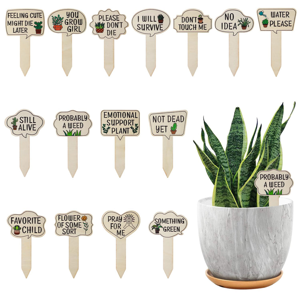 PEUTIER wooden plant markers set helps organize herbs and vegetables.