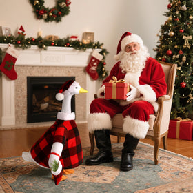 Pextian Outdoor porch scene with festive red and black plaid goose outfit.