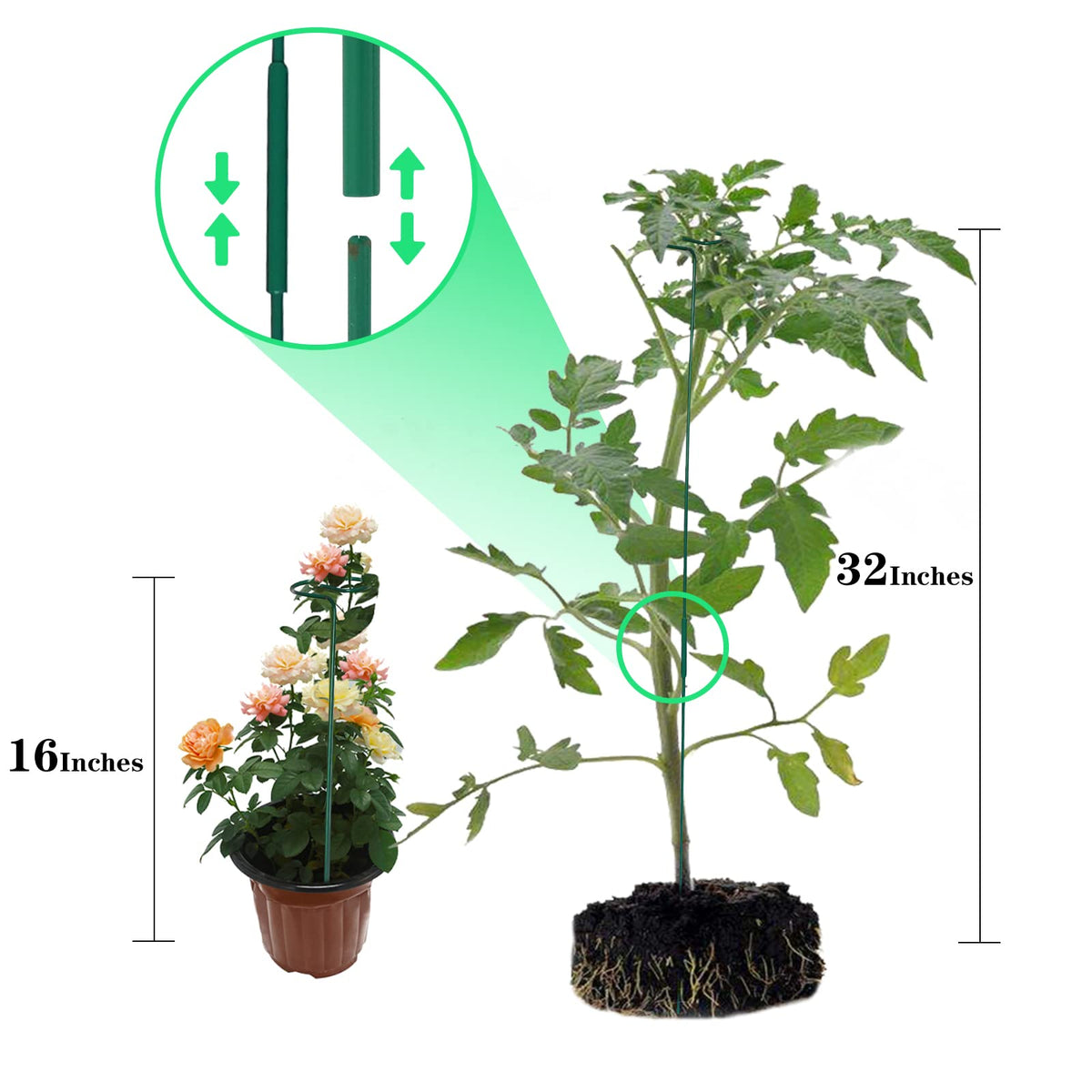 PFNRTH plant stakes 32-inch assembled for tall plant stability