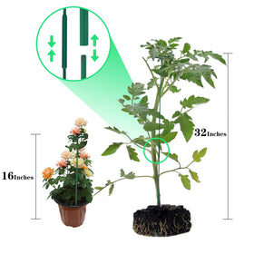 PFNRTH plant stakes 32-inch assembled for tall plant stability