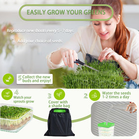 PHAIN corrugated germination tray reducing seed movement during setup and growth.