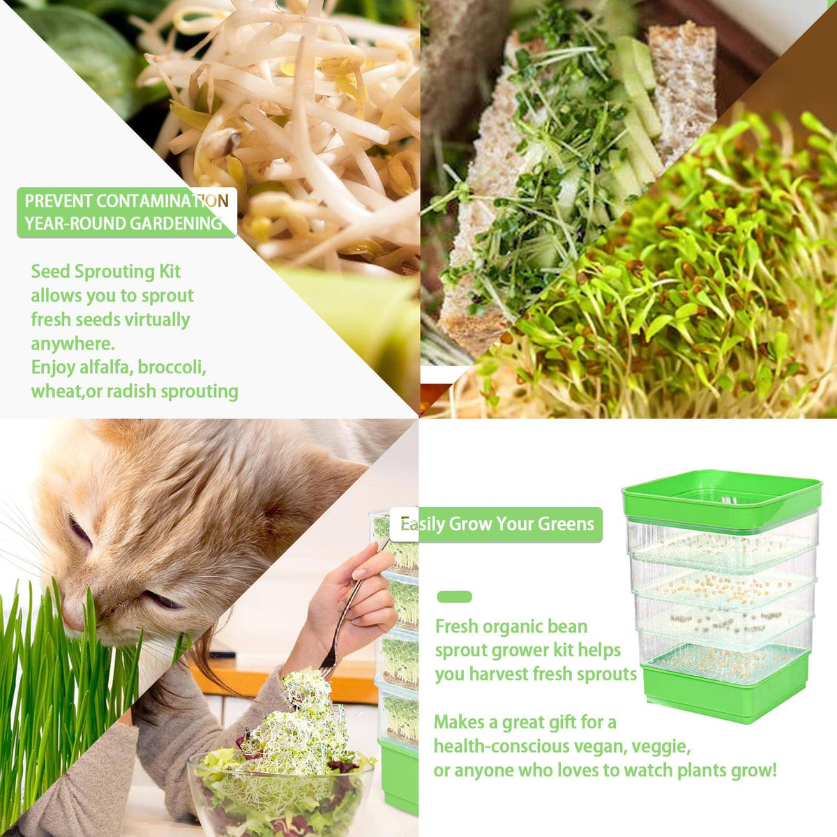 PHAIN microgreens tray supports beans, alfalfa, and other small seeds for fresh harvests.