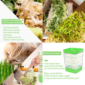 PHAIN microgreens tray supports beans, alfalfa, and other small seeds for fresh harvests.