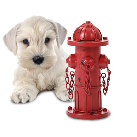 Phaxth puppy-potty-fire-hydrant overview: training aid and garden decor.