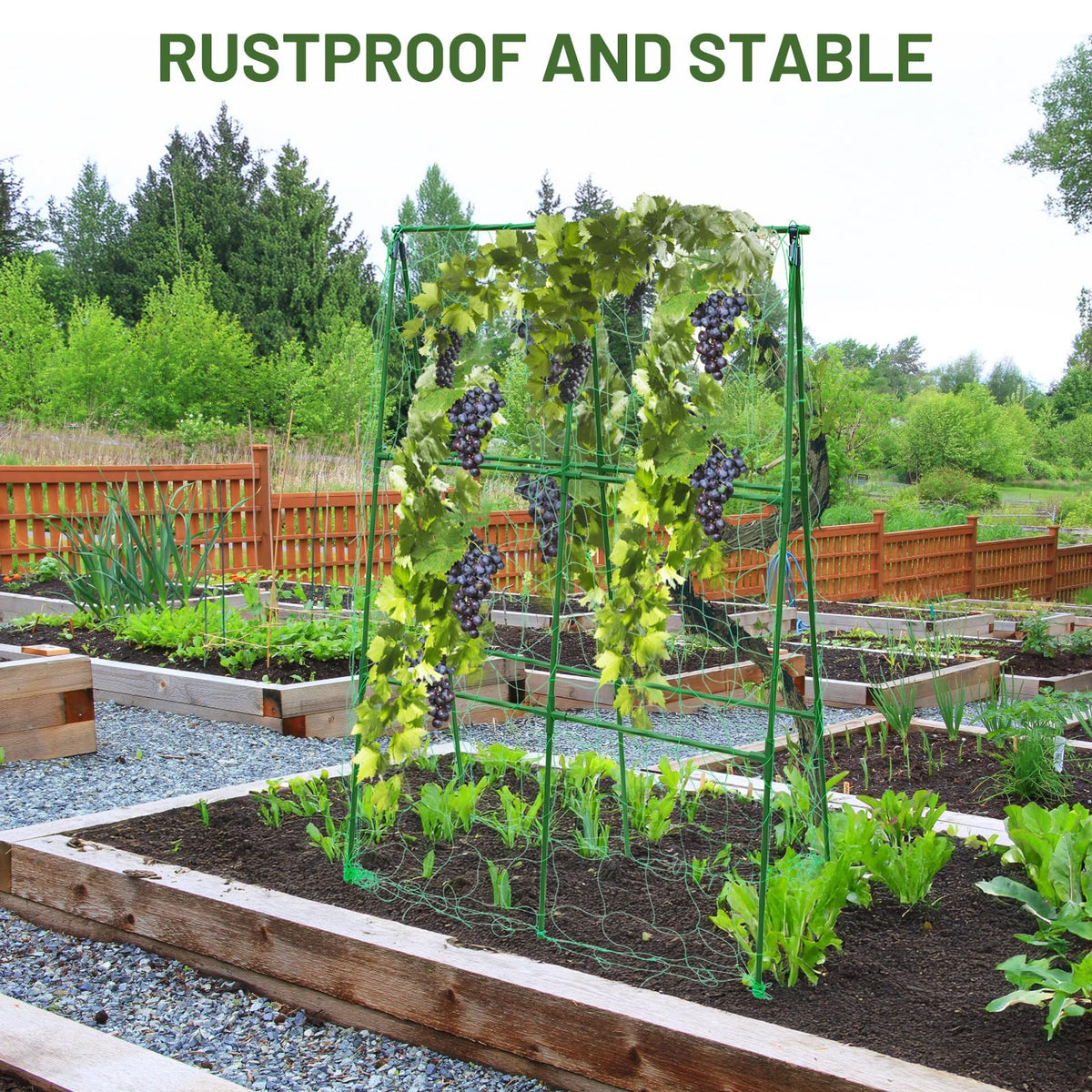 PHENEAHILL container garden support for climbing vegetables