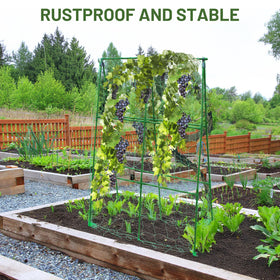 PHENEAHILL container garden support for climbing vegetables