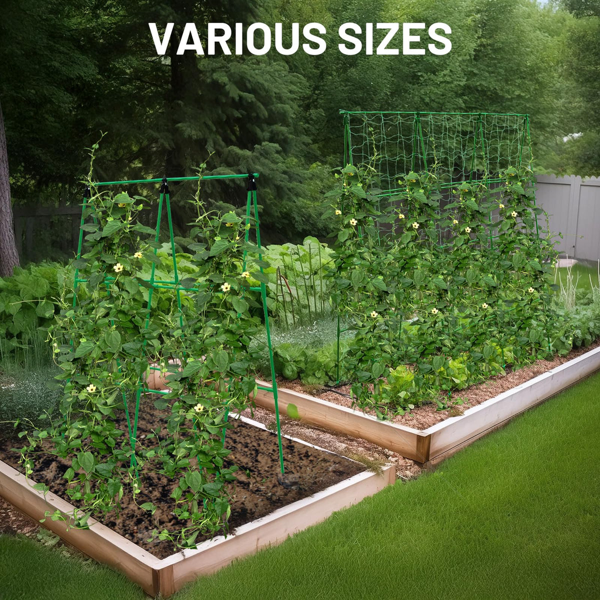 PHENEAHILL nylon netting included for sturdy training