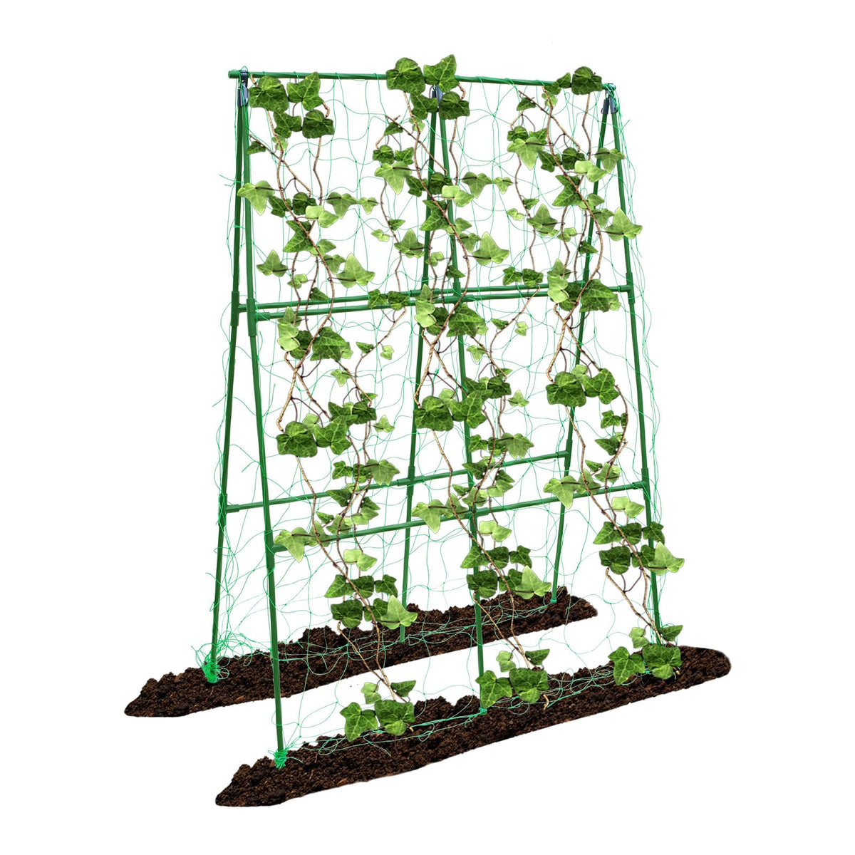 PHENEAHILL compact a-frame trellis supports peas for tidy garden rows