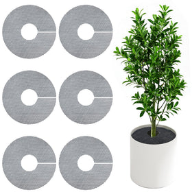 Phepetroll plant pot grid shields soil from pet digging.