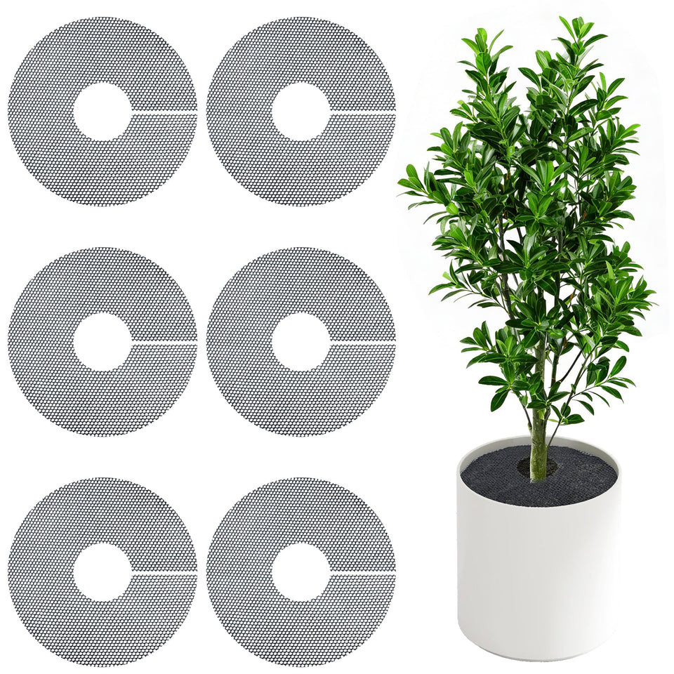 Phepetroll plant pot grid shields soil from pet digging.