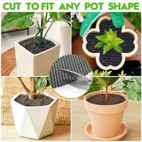 Phepetroll suitable for indoor and outdoor use year-round.