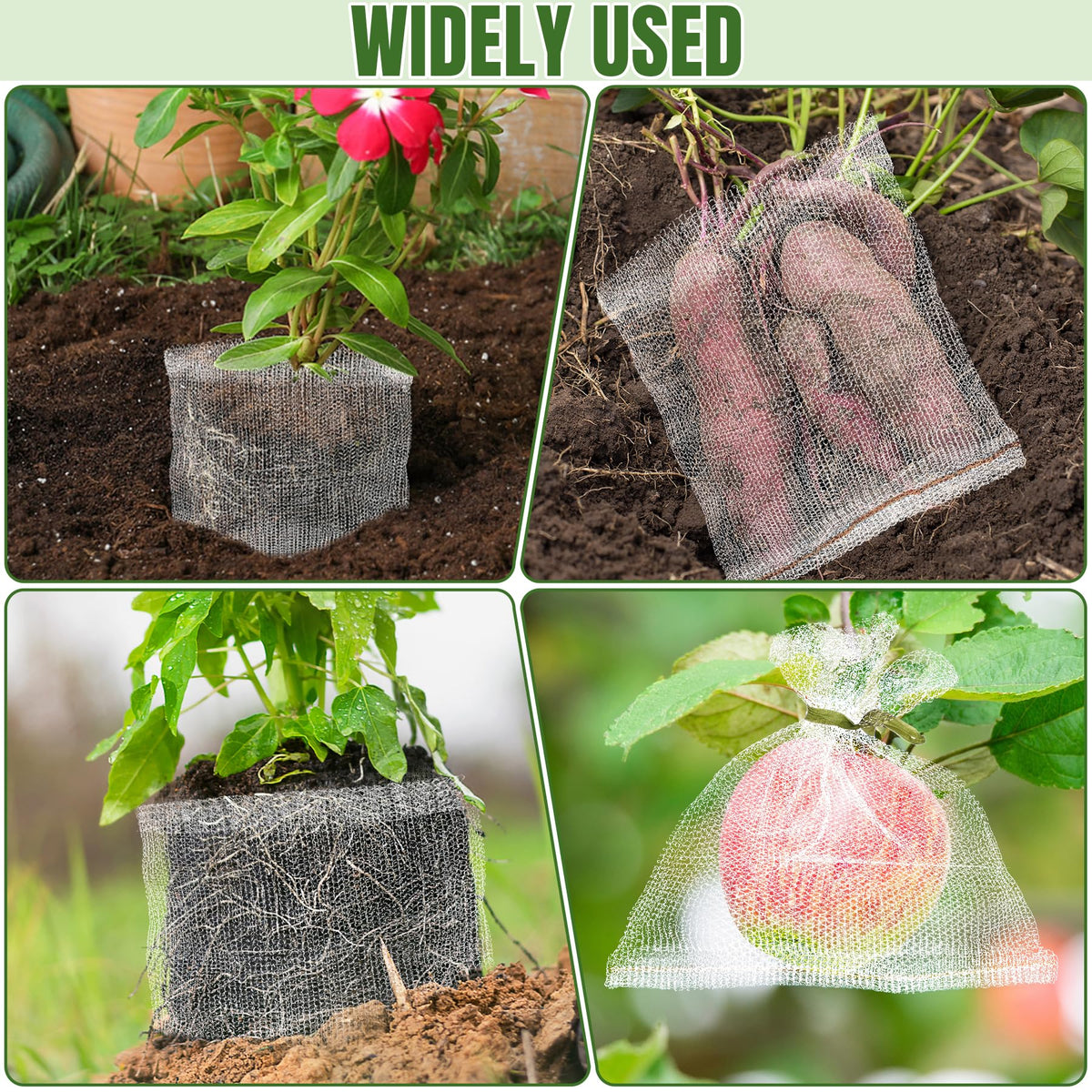 Phepetroll Root Guard Basket in soil shows easy-installation experience.