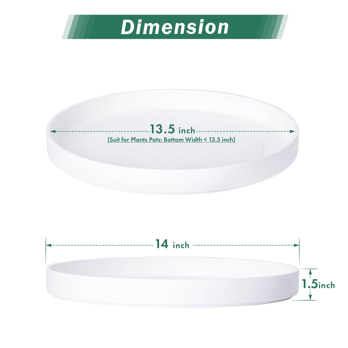 Phoenix Vine 14inch saucer bottom-watering setup supports hydration
