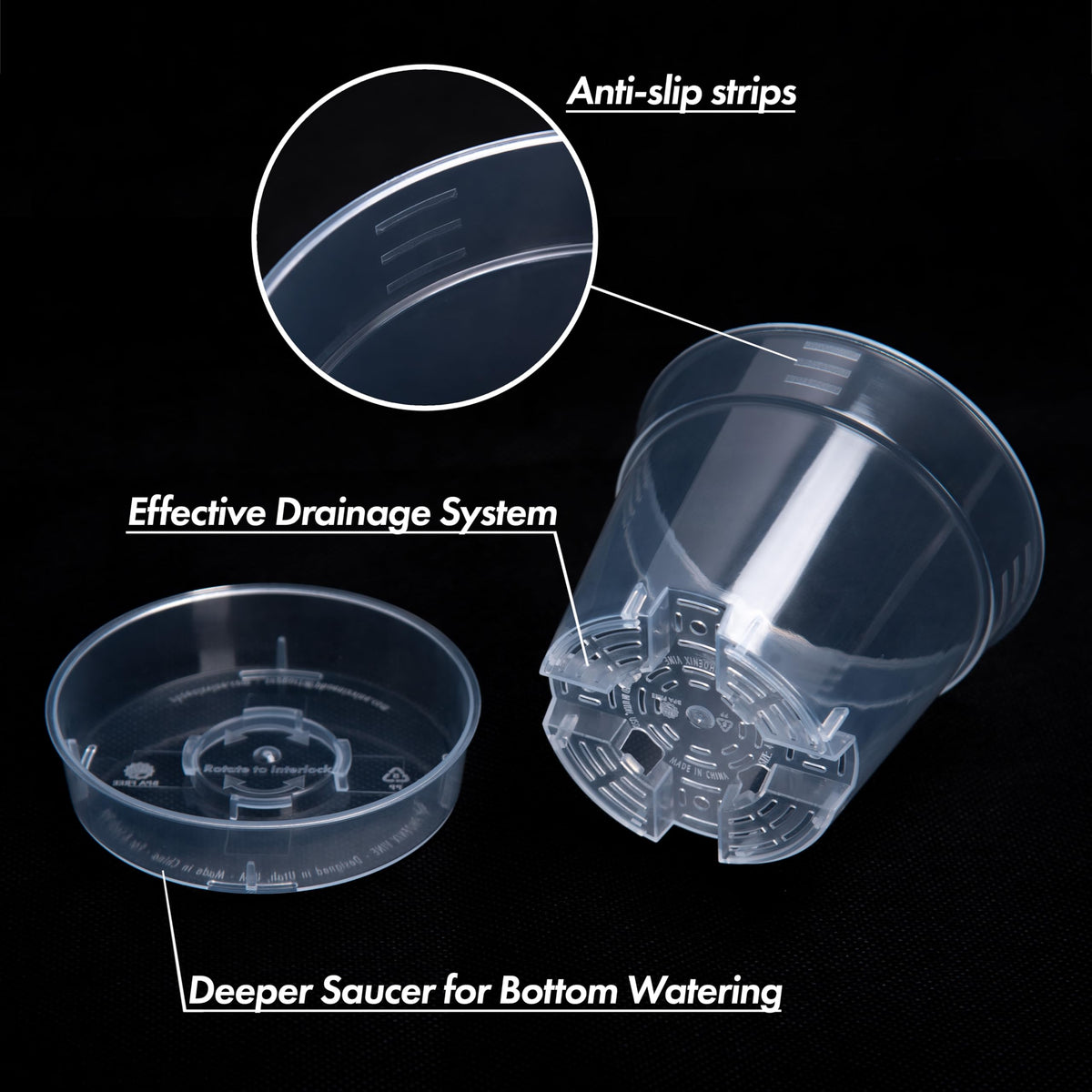 Phoenix Vine BPA-free transparent plastic pot for clear plant observation.