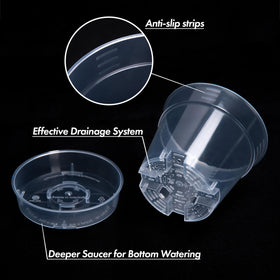 Phoenix Vine BPA-free transparent plastic pot for clear plant observation.