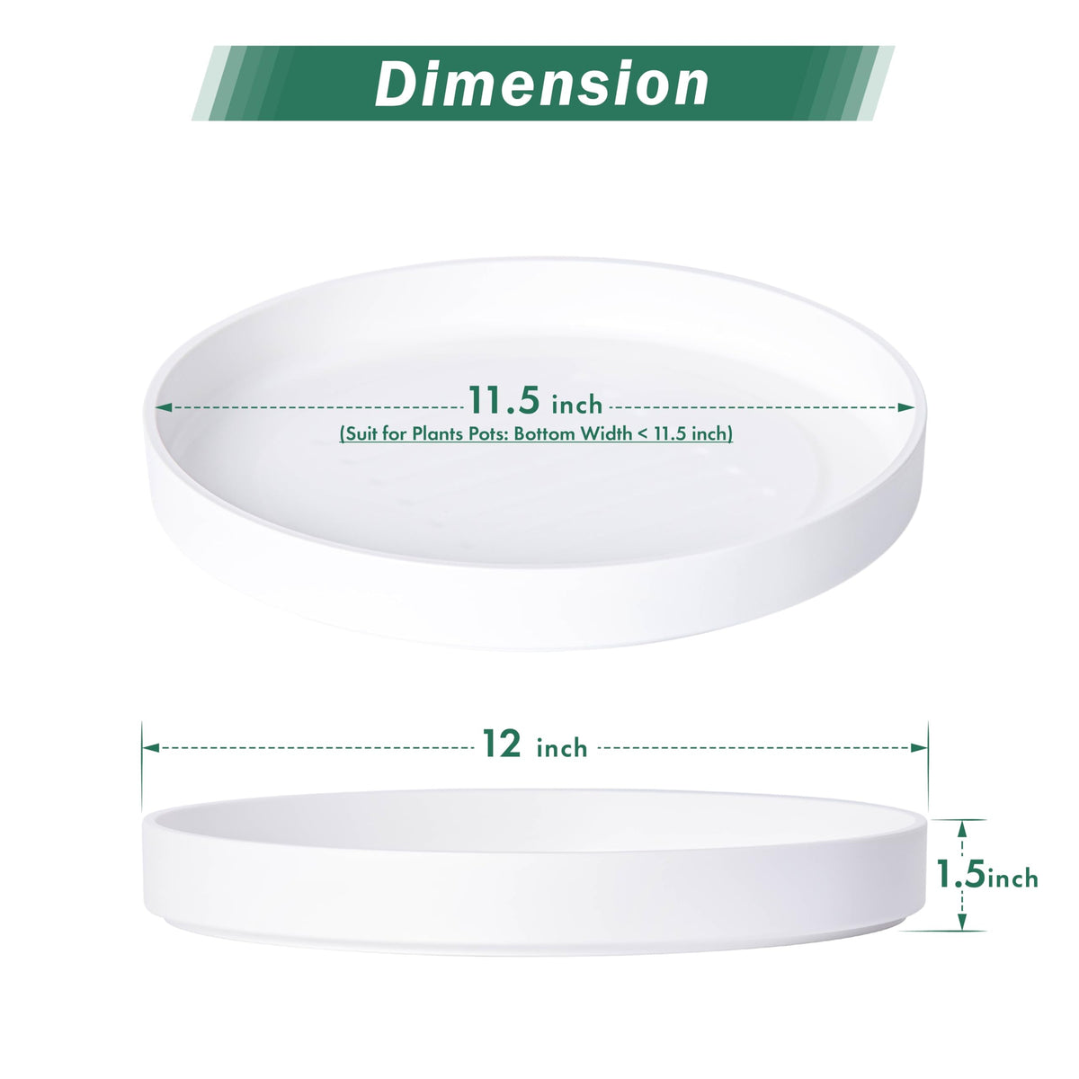 Deep saucer design supports bottom watering for Phoenix Vine