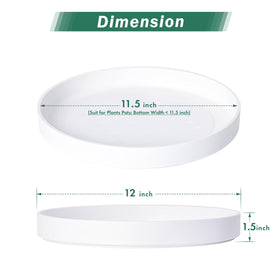 Deep saucer design supports bottom watering for Phoenix Vine