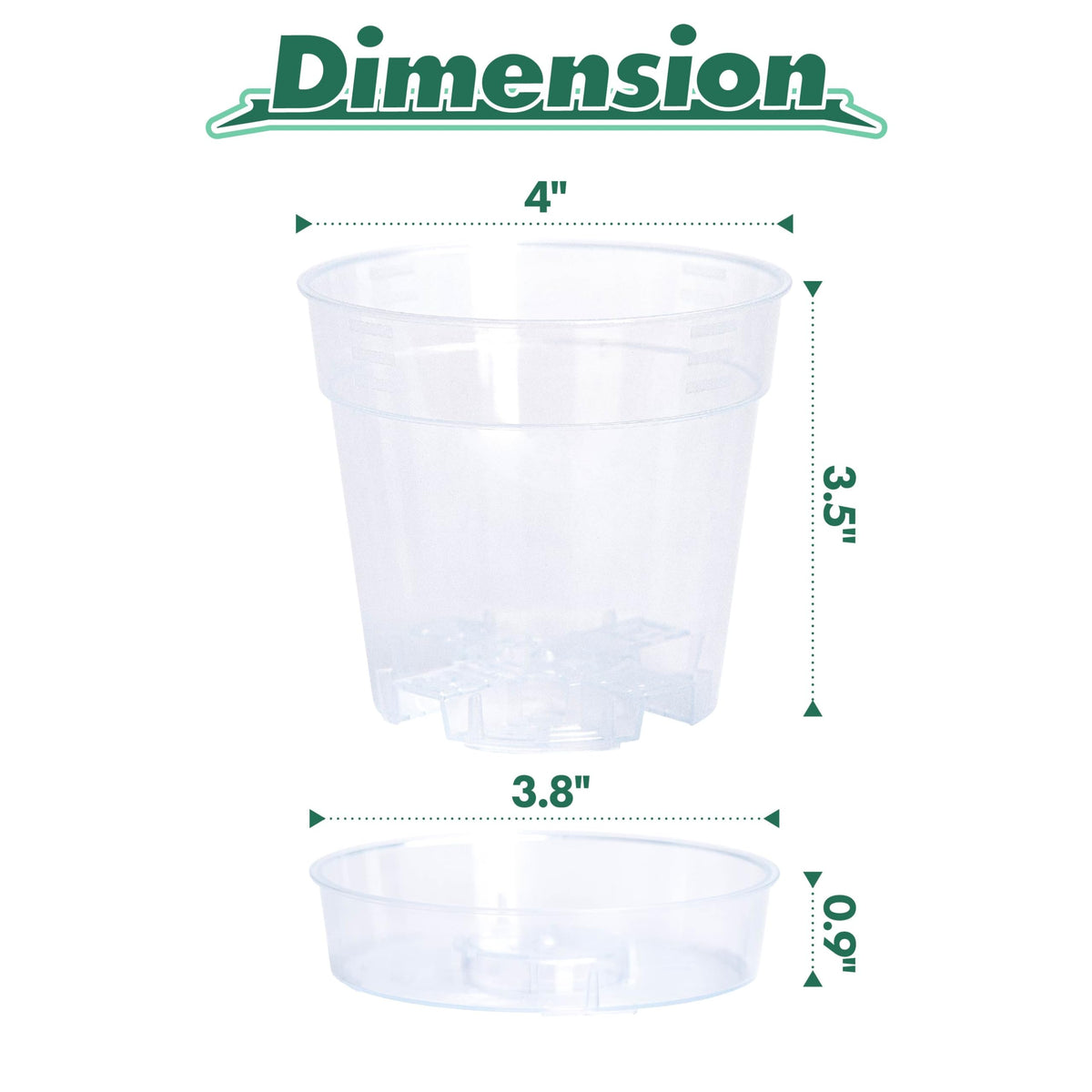 Phoenix Vine deep saucer enables bottom watering while keeping surfaces dry.
