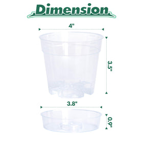 Phoenix Vine deep saucer enables bottom watering while keeping surfaces dry.