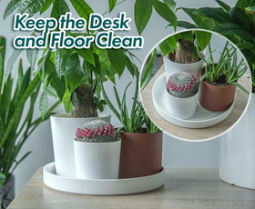 Durable weather-resistant plastic Phoenix Vine saucer for indoor/outdoor use