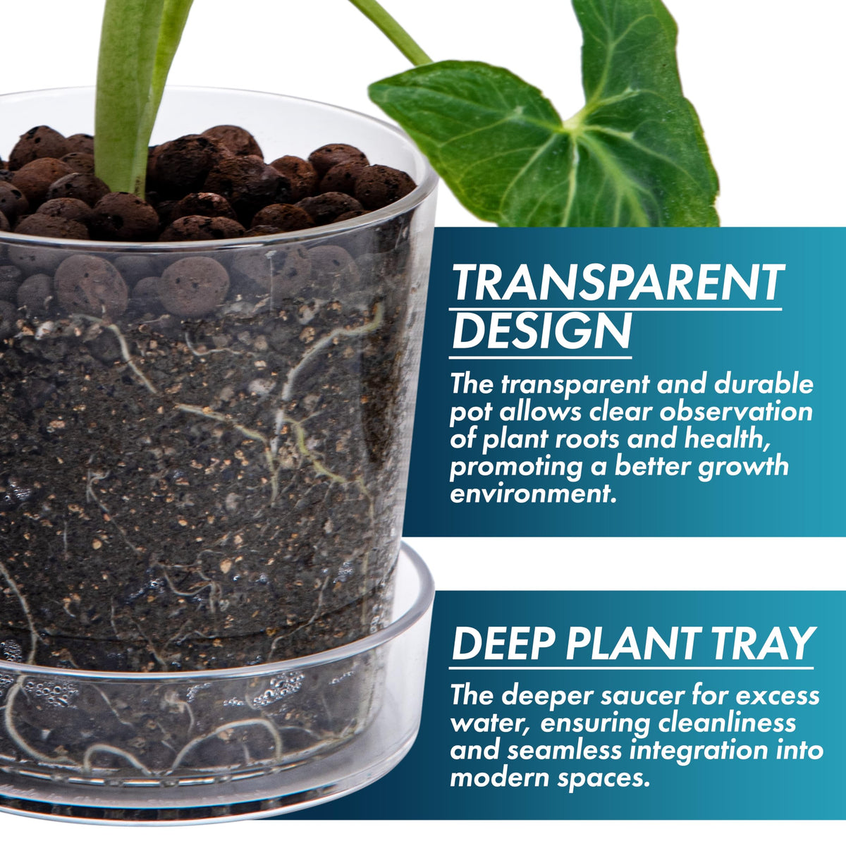 Phoenix Vine orchid pot with drainage holes promotes orchid care and airflow.