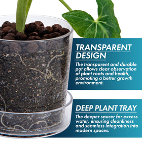 Phoenix Vine orchid pot with drainage holes promotes orchid care and airflow.