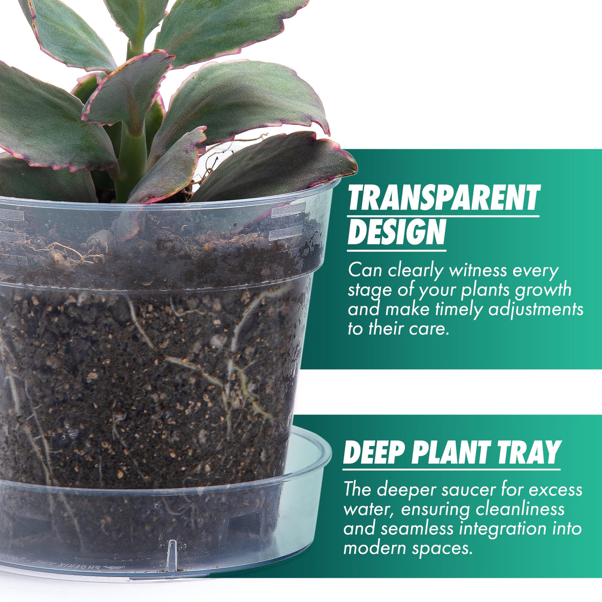 Phoenix Vine raised-base pot with airflow to support healthy root setup.