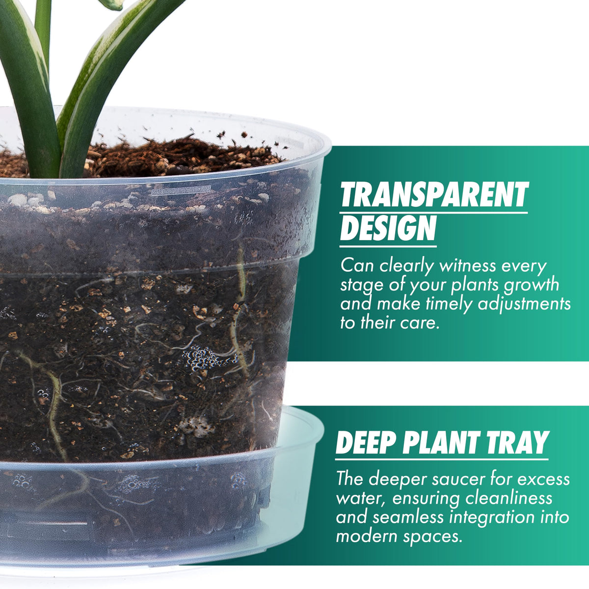 Phoenix Vine raised base promotes airflow under the pot for better drainage.