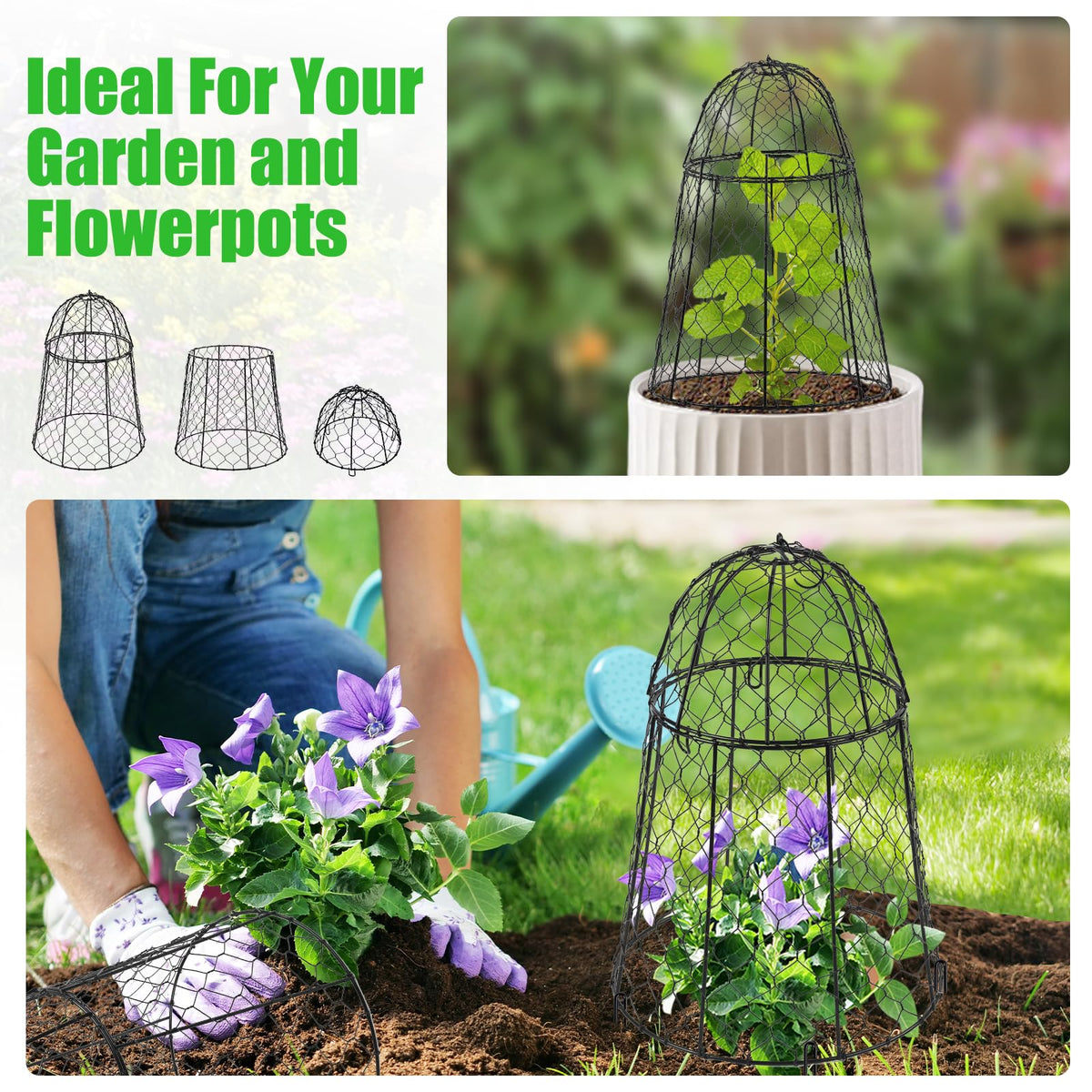 Phoncoo cloche covers tomatoes and strawberries for healthier growth