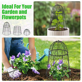 Phoncoo cloche covers tomatoes and strawberries for healthier growth