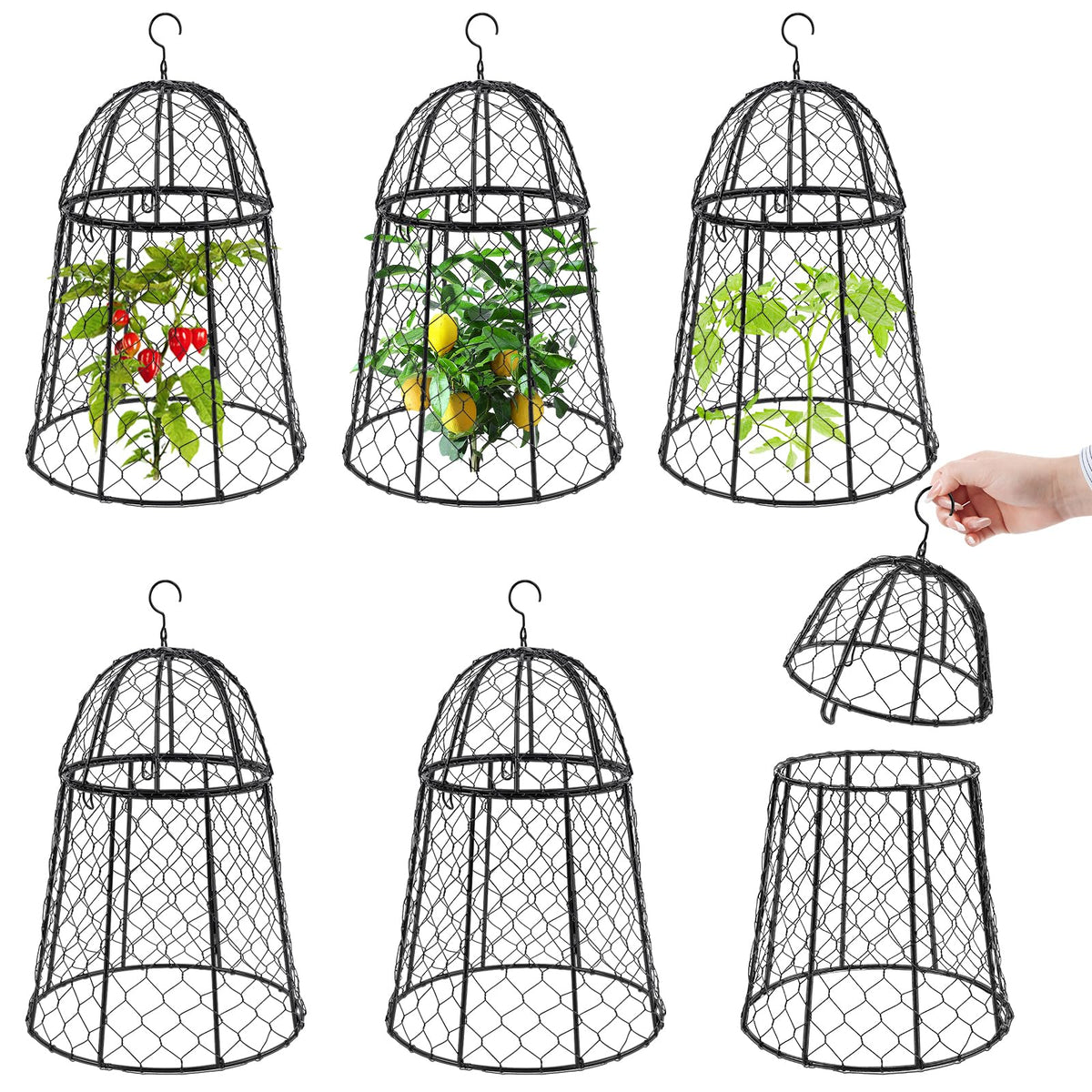 Phoncoo garden cloche 6-pack protects plants while letting sunlight through