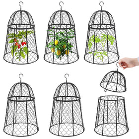 Phoncoo garden cloche 6-pack protects plants while letting sunlight through