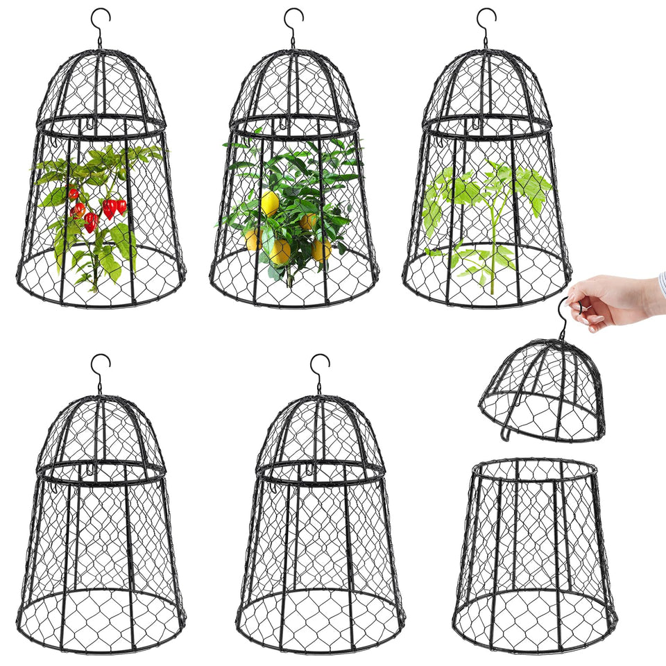 Phoncoo garden cloche 6-pack protects plants while letting sunlight through