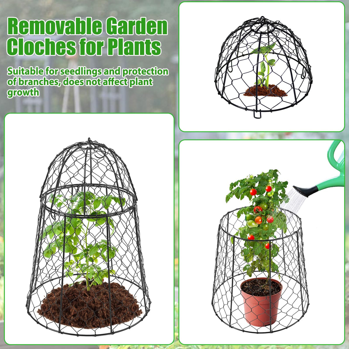 Phoncoo cloche shown for indoor and outdoor use protecting pots and beds