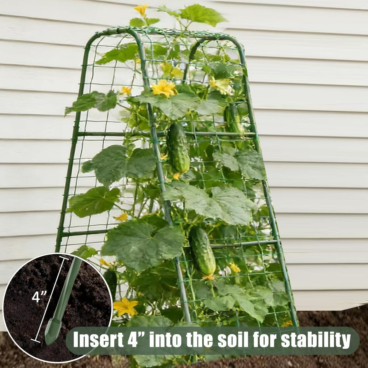 Phueglado garden trellis suits cucumbers, beans, tomatoes, and peas.