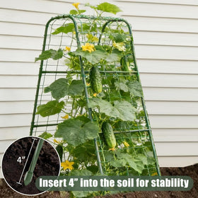 Phueglado garden trellis suits cucumbers, beans, tomatoes, and peas.