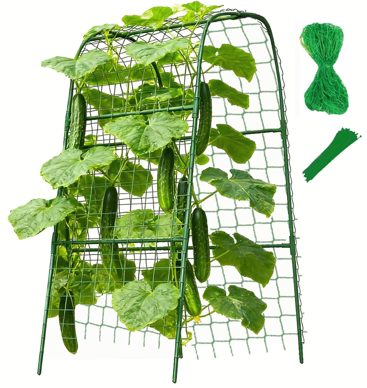 Phueglado cucumber trellis arch supports climbing plants for higher yields.
