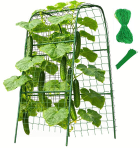 Phueglado cucumber trellis arch supports climbing plants for higher yields.