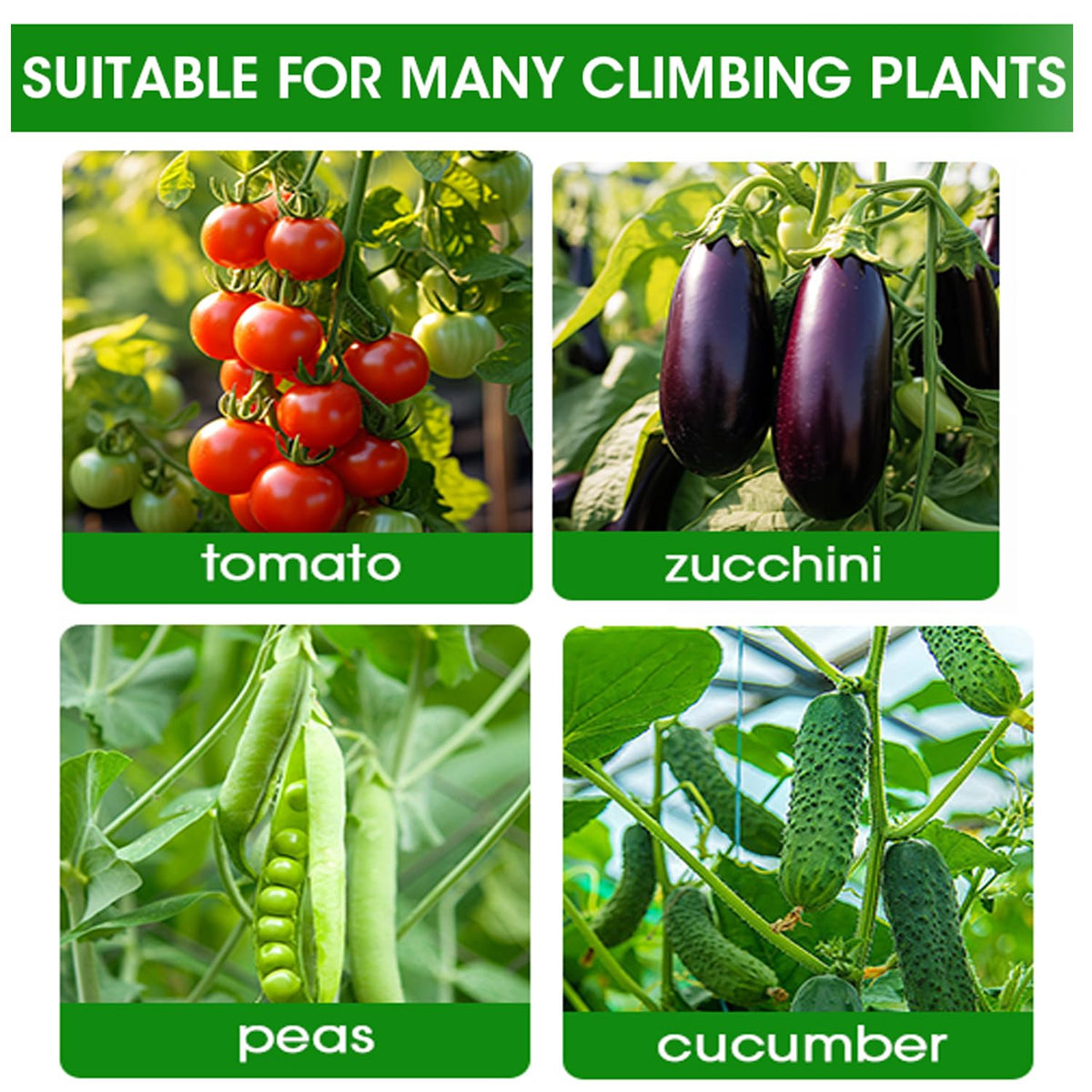 Phueglado lightweight foldable trellis stores easily after harvest.
