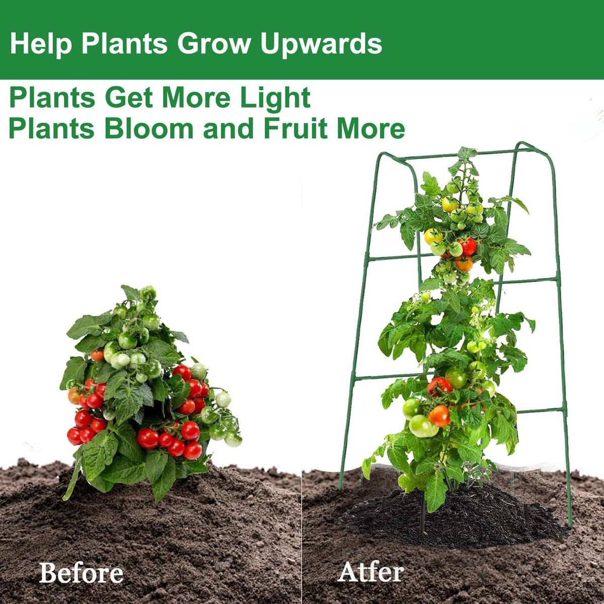 Phueglado raised-bed trellis elevates vines for better sunlight.