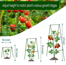 Phueglado trellis assembly without tools enables quick garden setup