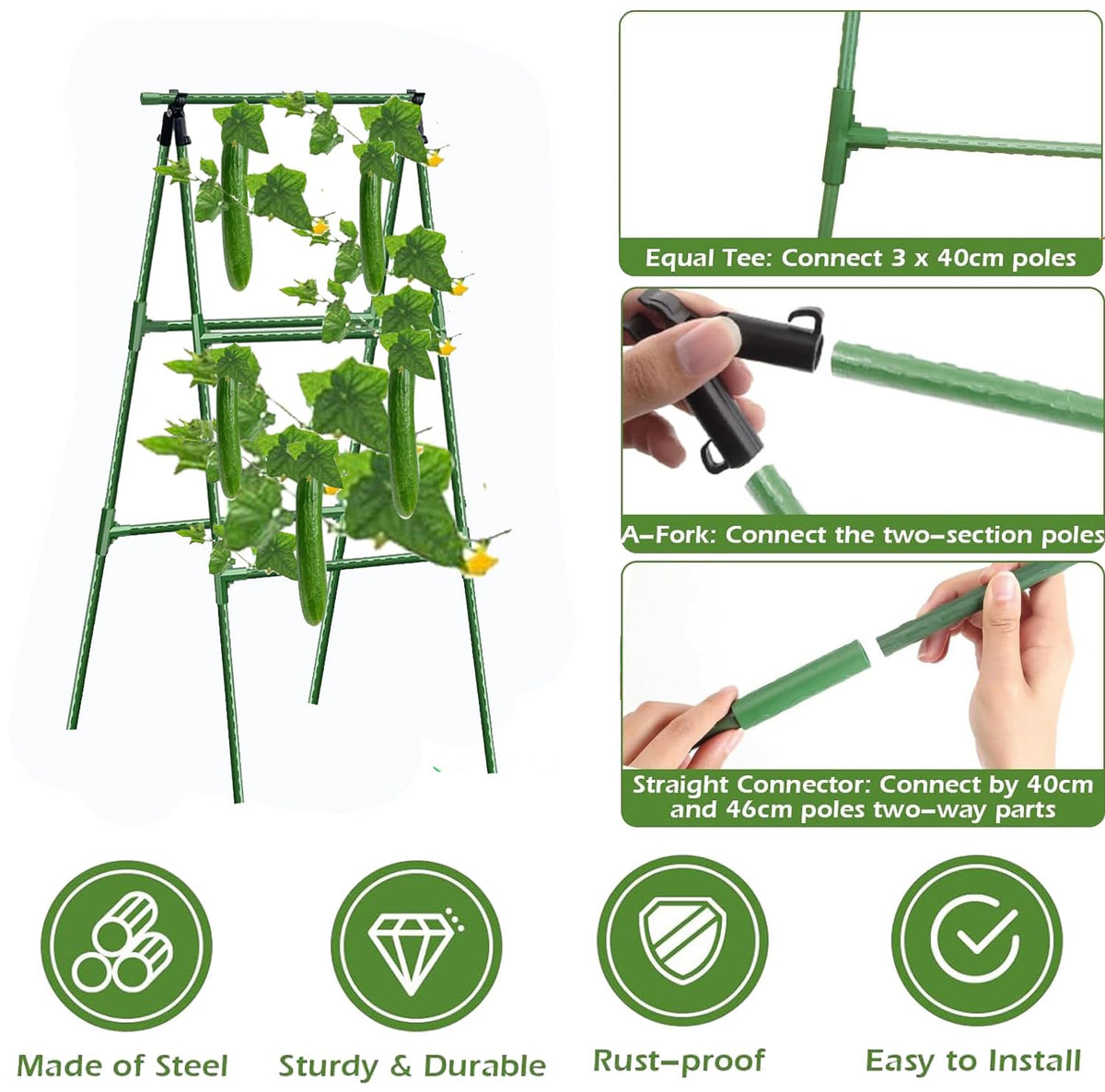 Phueglado adjustable-height trellis adapts to plant growth across seasons